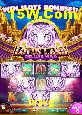 Casino VIP bravg